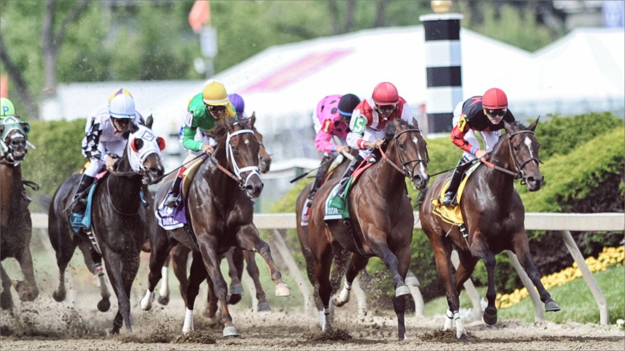 www preakness com