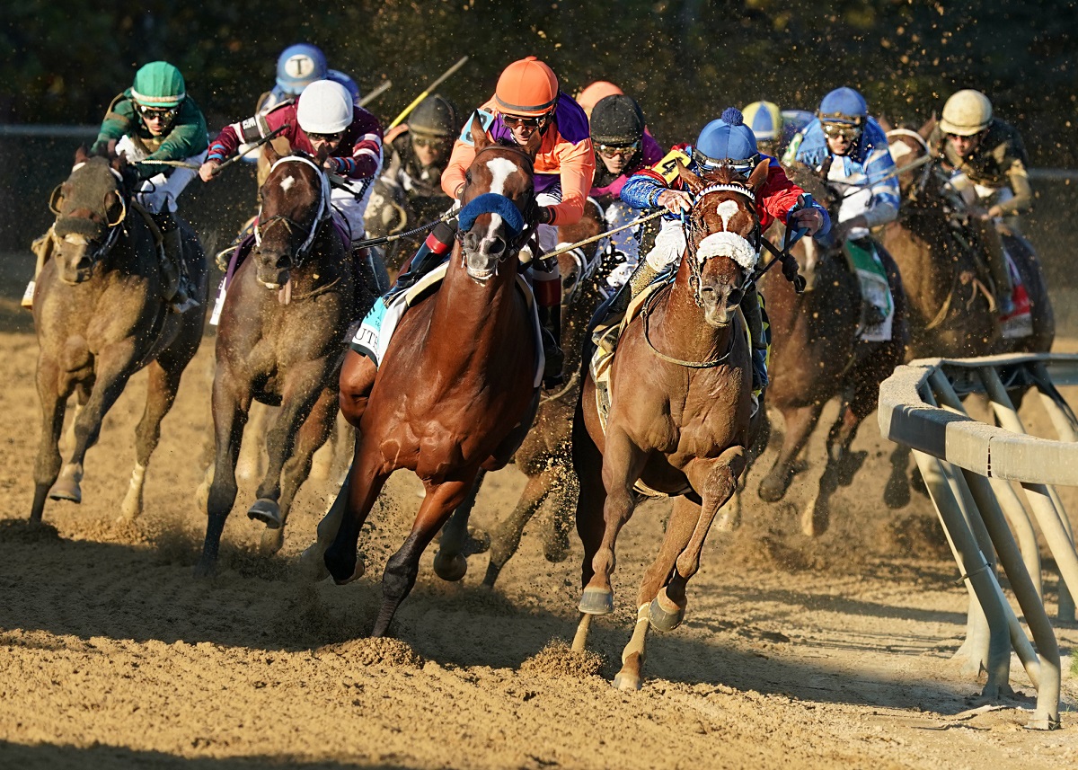 Winner Preakness