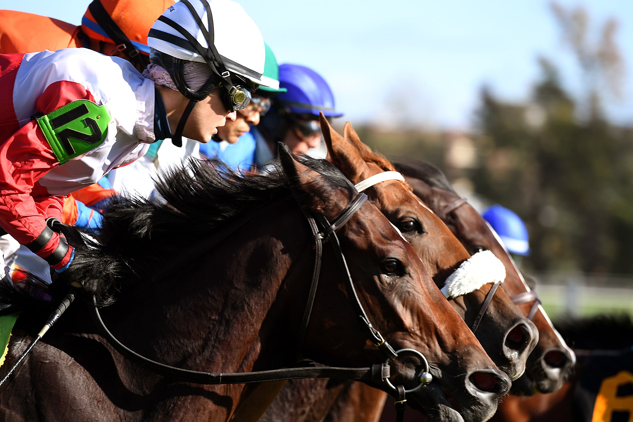 Ticket Policy Preakness Stakes