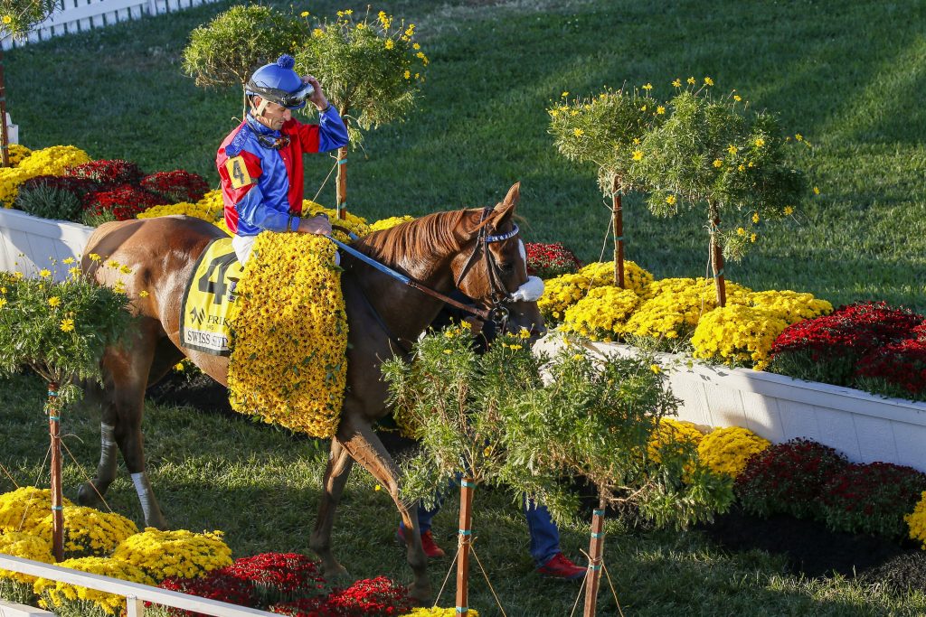 Rombauer Pulls Upset in Saturday's 146th Preakness Preakness Stakes