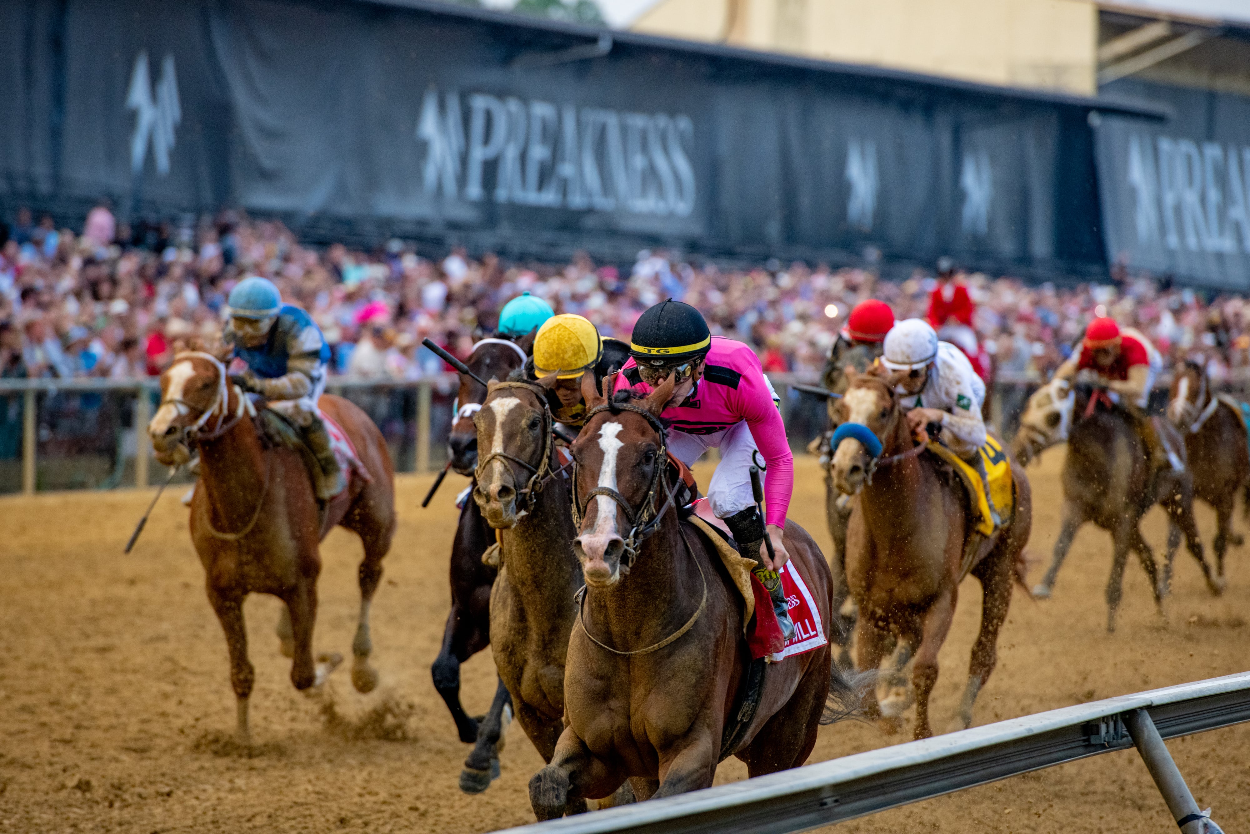 Photo Gallery Preakness Stakes